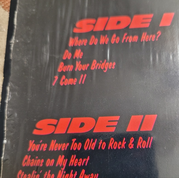 Lot of TWO Albums by Rex, both in condition, see pics for songs 🎵 - Picture 6 of 7